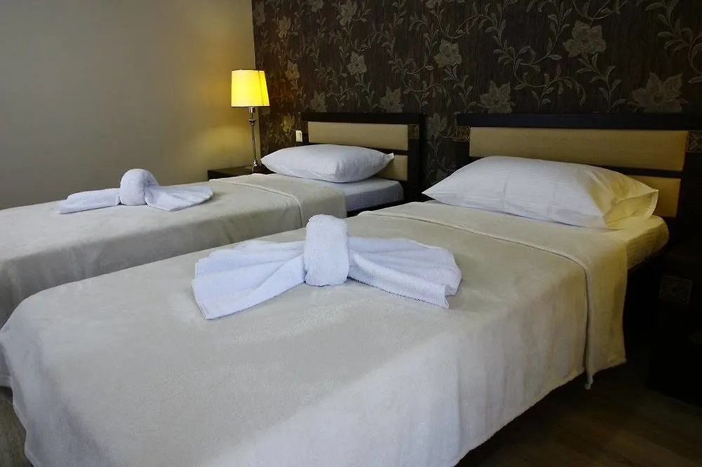 Sani Hotel ティビリシ グルジア